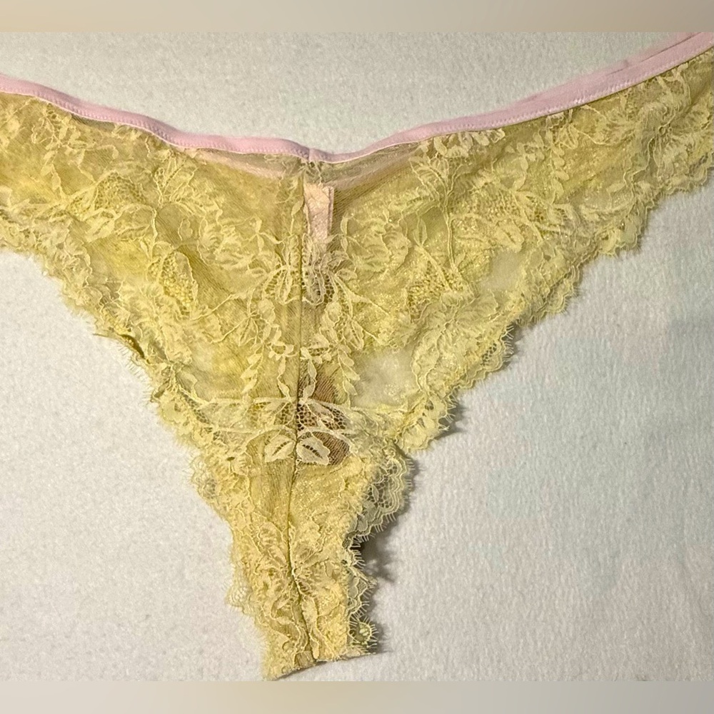 New SKIMS Velvet Lace Thong. Cherry Blossom. 4X